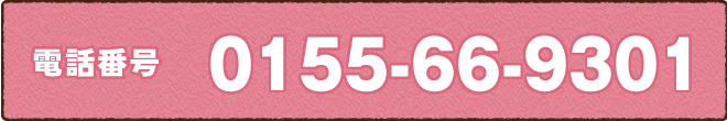 電話番号0155-66-9301