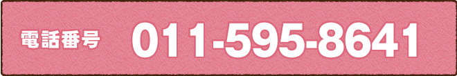 電話番号011-595-8641